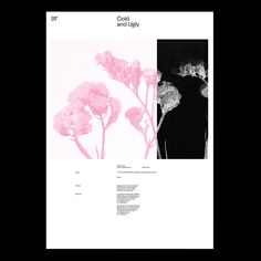 an image of pink flowers in black and white with the words cold and ugly on it