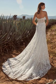 a woman in a wedding dress standing on the side of a hill with cactus plants behind her