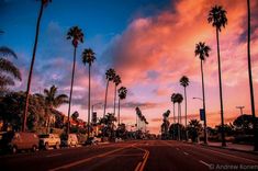 palm trees line the street as the sun goes down in an orange and blue sky