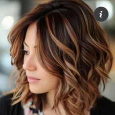 Brunette Hair With Highlights, Hair Brained, Short Bob Haircuts, Haircut And Color, Ombre Hair Color, Brunette Hair, Celebrity Hairstyles, Hair Dos, Ombre Hair