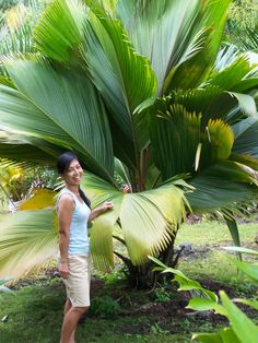 a woman standing next to a palm tree