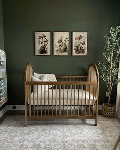 a baby crib with two pictures on the wall and a potted plant in front of it