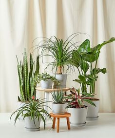 several potted plants sitting on top of each other