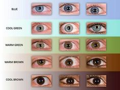 Types Of Hazel Eyes, Eye Color Chart Genetics, Light Spring Palette, Eye Colours, Blue Eye Color, Colour Analysis