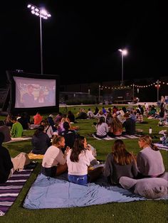 people sitting on the grass watching movies at night