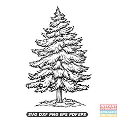 a black and white drawing of a pine tree with the words svg dxf eps