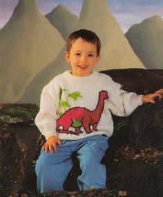 a young boy sitting on top of a rock wearing a sweater with an image of a dinosaur