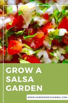 a salad with tomatoes, onions and lettuce in it is featured on the cover of garden channel's grow a salsa garden