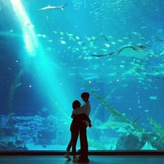 two people standing in front of an aquarium