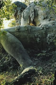 an animal laying on top of a rock in the grass next to trees and bushes