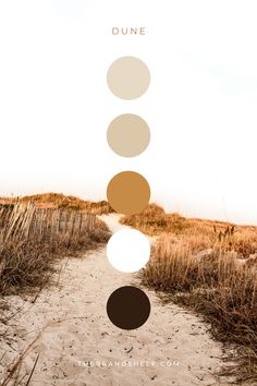 an image of a path in the sand with four circles above it that says dune