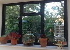 there are many potted plants on the window sill in front of the windowsill