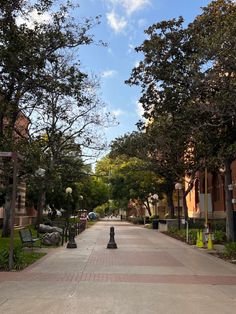 an empty street with benches and trees on both sides, surrounded by bricked sidewalks