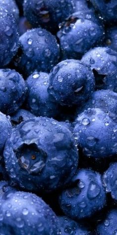 blueberries with drops of water on them are seen here in this close up image