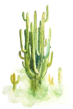 a watercolor painting of a cactus in the desert with green leaves on it's back