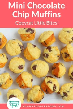 mini chocolate chip muffins with text overlay