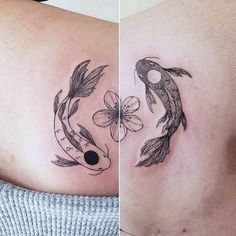 two pictures side by side one with a koi fish and the other with a butterfly