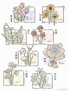 an image of flowers drawn on paper with chinese characters in the background and words written below