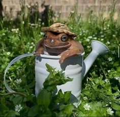 a frog is sitting in a watering can