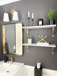 a bathroom with two shelves and a mirror on the wall, one shelf has a potted plant in it