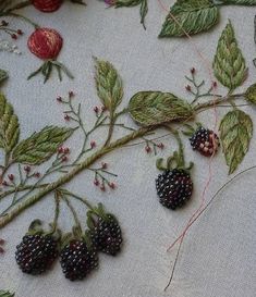 some blackberries and leaves on a white cloth