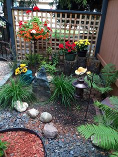 a garden with rocks and plants in it