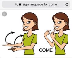 Sign Language Book, Alphabet Signs