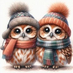 two owls wearing winter hats and scarves