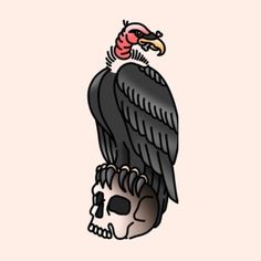 a black bird sitting on top of a human skull