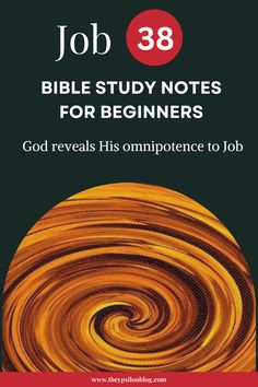 a book cover with the title job 38 bible study notes for beginners god reveals his om