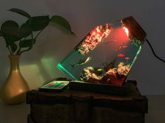 a fish tank that is lit up and sitting on a table next to a plant