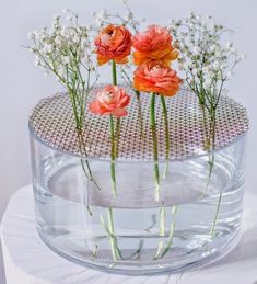 three flowers are placed in a clear vase