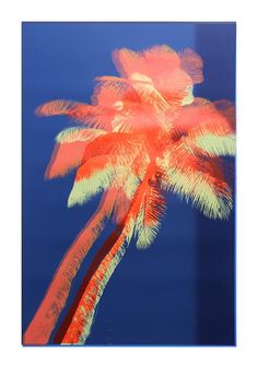 a palm tree in front of a blue sky with red and yellow streaks on it