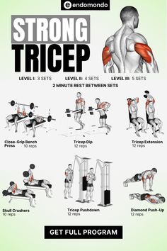 an exercise poster showing how to do the same exercises for back and shoulder muscles, with instructions