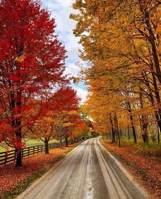 a dirt road surrounded by trees with orange and yellow leaves