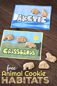 some animals are made out of cookies on a table with the words grassland and free animal cookie habitats