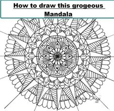 the diagram shows how to draw this gorgeous flower