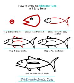 how to draw an albacore tuna step by step instructions for children and adults