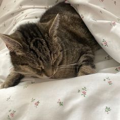 a cat sleeping on top of a bed covered in white sheets and pink flowered bedspread