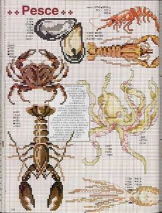 a cross stitch pattern with different types of bugs and scorpionfishs on it's side