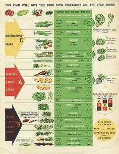 an old poster shows the different vegetables that are growing in each plant and how they can be grown