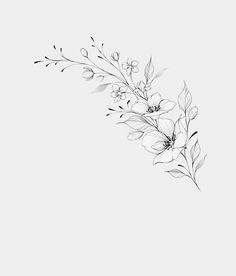 black and white drawing of flowers on a white background