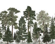 a drawing of trees in the snow