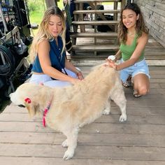 two women are petting a dog on the porch