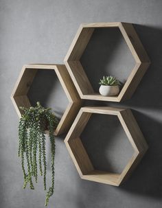 three wooden hexagonal shelves with plants on them against a gray wall, one holding a potted plant