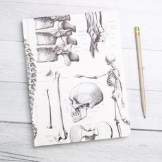 a notepad with an illustration of the human skeleton and bones on it next to a pencil