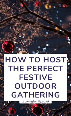 the words how to host the perfect festive outdoor gathering in front of christmas lights