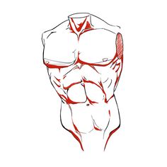 a drawing of a man's torso with red lines on the chest and arms