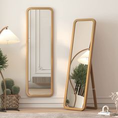 two mirrors are next to each other in front of a wall with plants and potted cacti