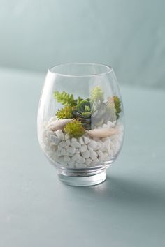 a glass bowl filled with rocks and plants